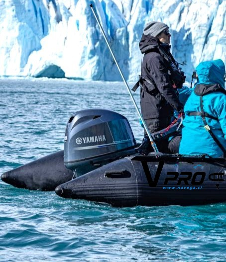 Motores Fuera de Borda Motores Fuera de Borda