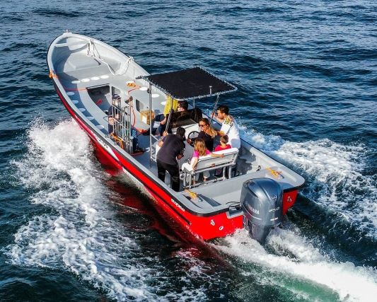 Fibra de Vidrio Starline Fibra de Vidrio Starline